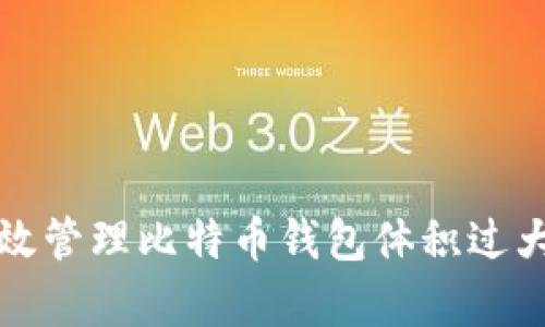 如何有效管理比特币钱包体积过大的问题