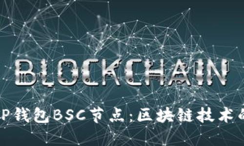 深入了解TP钱包BSC节点：区块链技术的先锋之路
