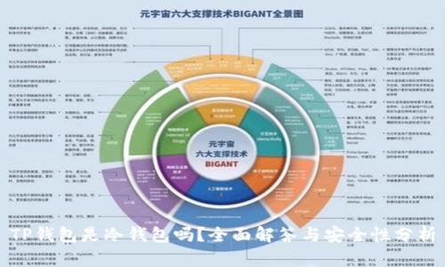 TP钱包是冷钱包吗？全面解答与安全性分析