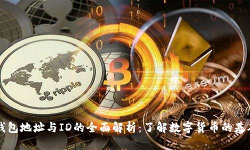 比特币钱包地址与ID的全面解析：了解数字货币的基础与实践