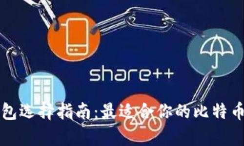 比特币钱包选择指南：最适合你的比特币存储方式