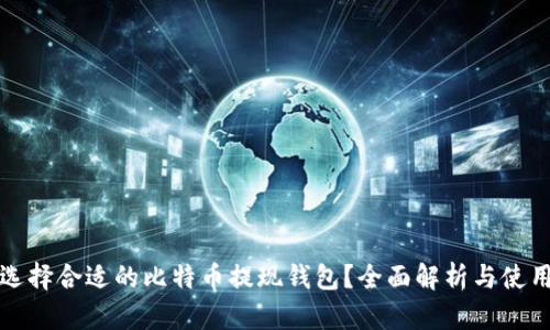 如何选择合适的比特币提现钱包？全面解析与使用指南