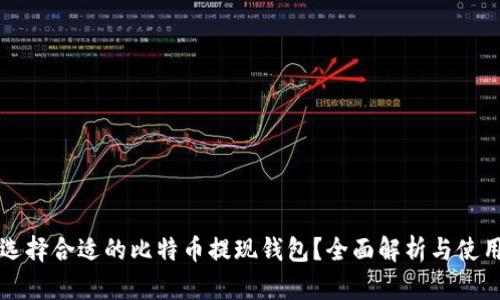 如何选择合适的比特币提现钱包？全面解析与使用指南