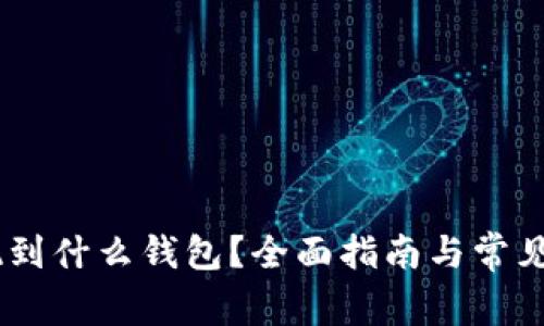 USDT提现到什么钱包？全面指南与常见问题解答