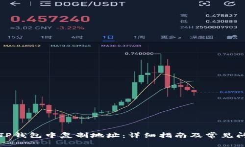 如何在TP钱包中复制地址：详细指南及常见问题解答