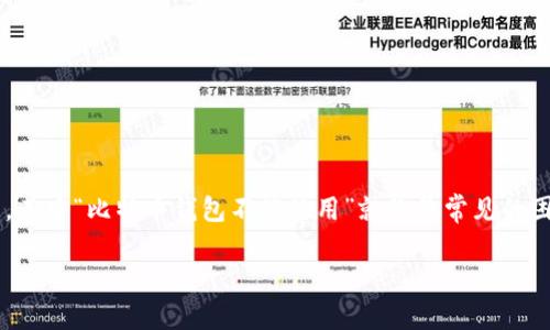 在这个数字货币日益普及的时代，比特币钱包作为存储和管理比特币的重要工具，其重要性不言而喻。然而，用户在使用比特币钱包时，常常会遇到一些问题，其中“比特币钱包不能使用”就是最常见的困扰之一。这个问题涉及多个方面，包括钱包软件的故障、网络问题、私钥丢失等。为了帮助读者更好地理解并解决这一问题，本文将从各个方面进行详细介绍。

如何解决比特币钱包不能使用的问题？