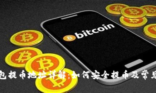 TP钱包提币地址详解：如何安全提币及常见问题