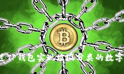 如何通过TP钱包实现垃圾分类的数字化管理？