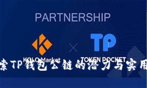 探索TP钱包公链的潜力与实用性