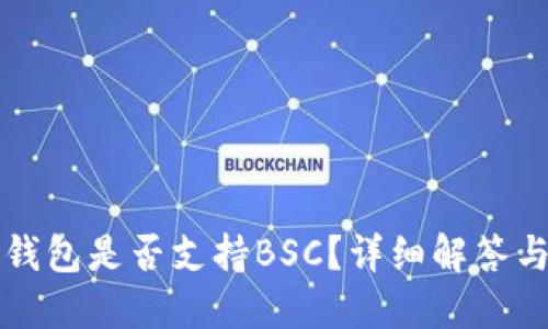 TP桌面版钱包是否支持BSC？详细解答与使用指南
