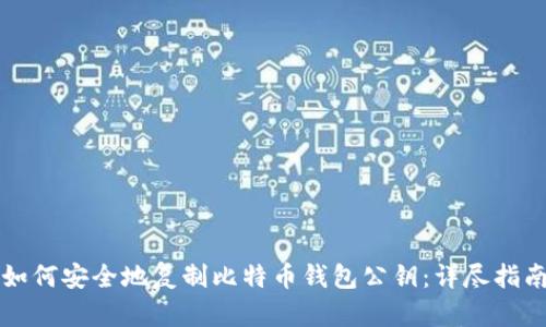 如何安全地复制比特币钱包公钥：详尽指南