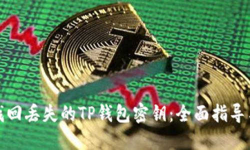 如何找回丢失的TP钱包密钥：全面指导与技巧