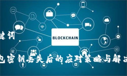 与关键词

tp钱包密钥丢失后的应对策略与解决方案