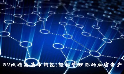 BV比特愿景币钱包：轻松管理你的加密资产