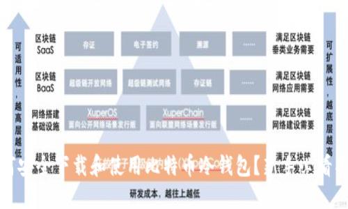 如何安全下载和使用比特币冷钱包？新手必看指南