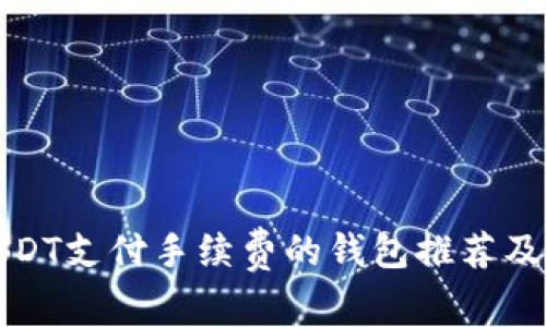 适合用USDT支付手续费的钱包推荐及使用指南