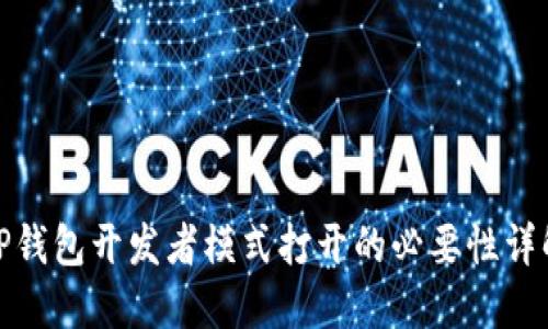 TP钱包开发者模式打开的必要性详解