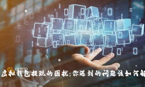 GSE虚拟钱包提现的困扰：你遇到的问题该如何解决？
