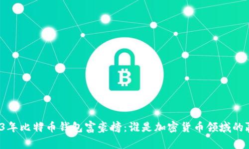 2023年比特币钱包富豪榜：谁是加密货币领域的赢家？