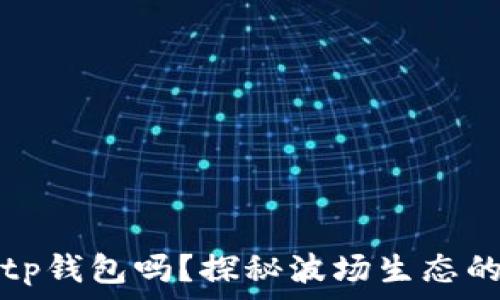   
波场的钱包究竟是tp钱包吗？探秘波场生态的数字资产管理工具