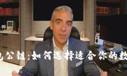 佛撒奇TP钱包公链：如何选择适合你的数字资产钱包？