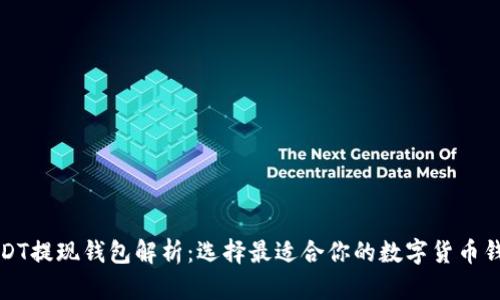 USDT提现钱包解析：选择最适合你的数字货币钱包