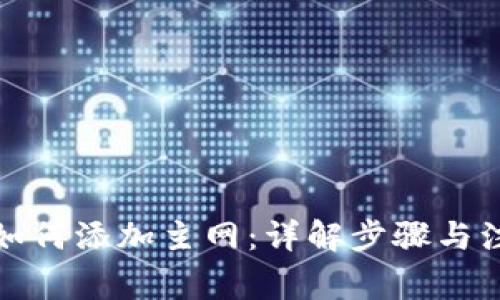 TP钱包如何添加主网：详解步骤与注意事项