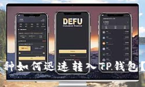交易所币种如何迅速转入TP钱包？详细指南