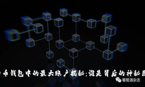 比特币钱包中的最大账户揭秘：谁是背后的神秘巨头？
