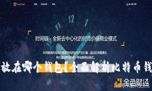 比特币该放在哪个钱包？全面解析比特币钱包的选择
