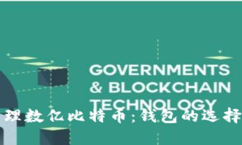 如何安全管理数亿比特币：钱包的选择与最佳实践