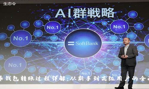 比特币钱包转账过程详解：从新手到高级用户的全面指南