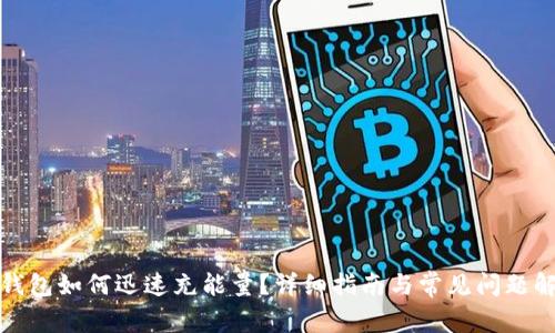 tp钱包如何迅速充能量？详细指南与常见问题解答