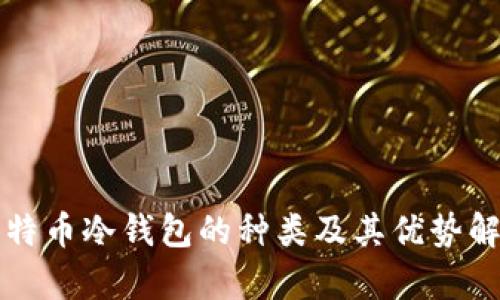比特币冷钱包的种类及其优势解析