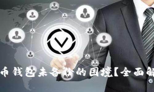 如何应对比特币钱包未备份的困境？全面解析与解决方案