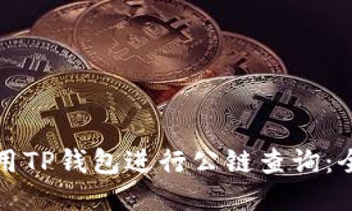 如何使用TP钱包进行公链查询：全面指南