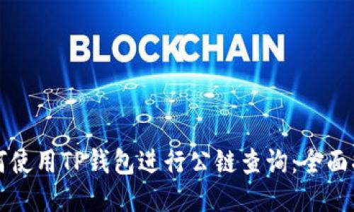 如何使用TP钱包进行公链查询：全面指南