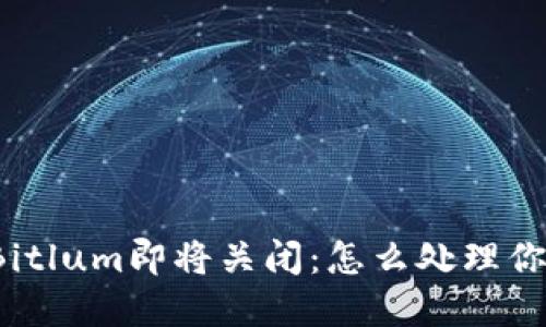 比特币钱包Bitlum即将关闭：怎么处理你的数字资产？