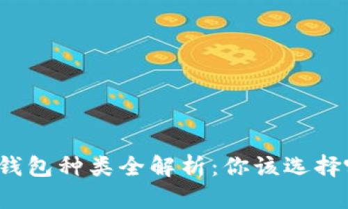 比特币钱包种类全解析：你该选择哪一款？