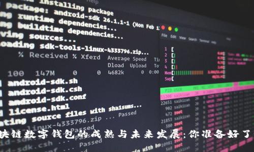 区块链数字钱包的成熟与未来发展：你准备好了吗？
