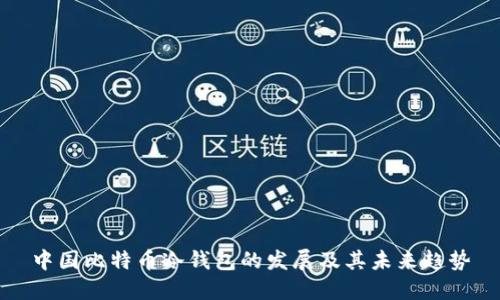 中国比特币冷钱包的发展及其未来趋势