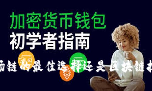 TP钱包：波场链的最佳选择还是区块链技术的未来？