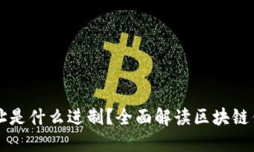 区块链钱包地址是什么进制？全面解读区块链钱包的基础知识