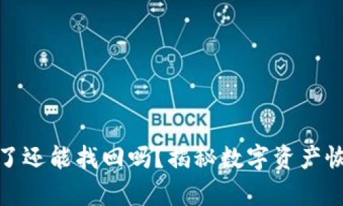 TP钱包删除了还能找回吗？揭秘数字资产恢复的可能性