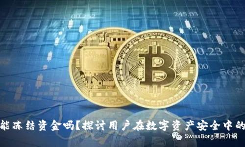 TP钱包报警能冻结资金吗？探讨用户在数字资产安全中的权利与措施