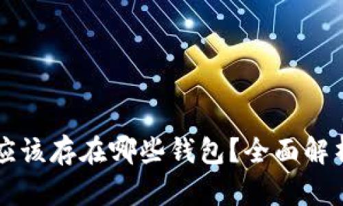 狗狗币应该存在哪些钱包？全面解析与推荐