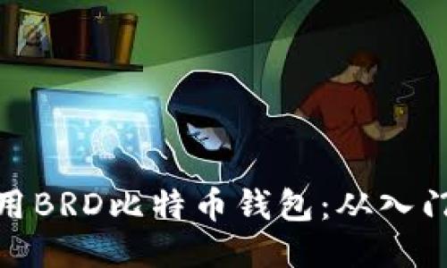 如何使用BRD比特币钱包：从入门到精通