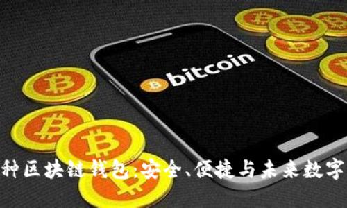 探索100种区块链钱包：安全、便捷与未来数字财产管理