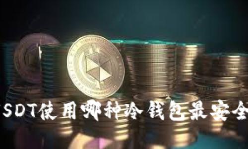 USDT使用哪种冷钱包最安全？