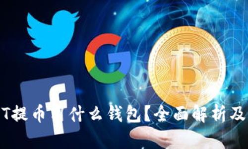USDT提币用什么钱包？全面解析及推荐